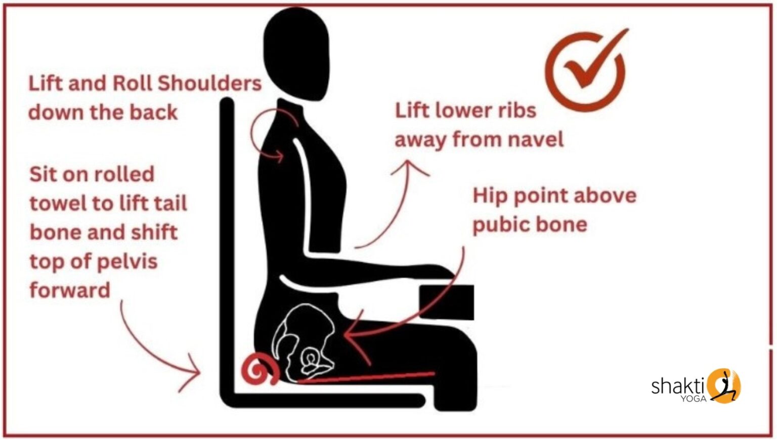 The Psoas, Sitting, and Stress Connection Shakti Yoga Method