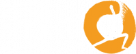 Shakti Logo